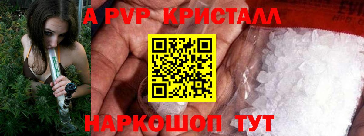 A PVP СК  Вход с VPN  Киселёвск  цена   Альфа ПВП СК 