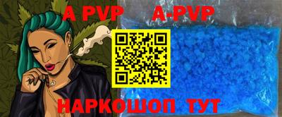 дмт Кингисепп