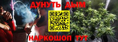 дмт Кингисепп