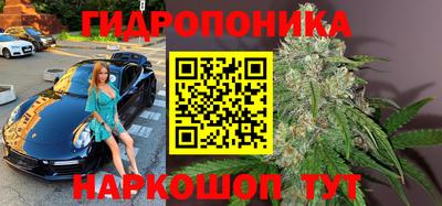 дмт Кингисепп