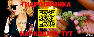 jwh Кимры